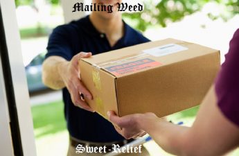 mailing weed