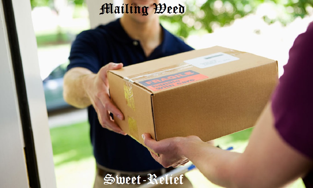 mailing weed