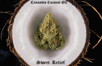 cannabis coconut oil
