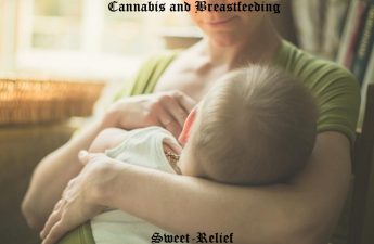 weed and breastfeeding
