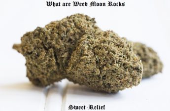 moon rock weed