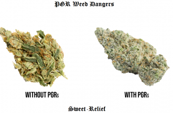 pgr weed dangers