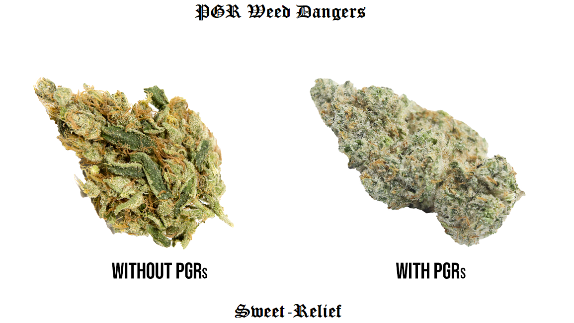 pgr weed dangers