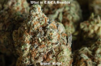 what is thc