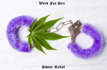 best weed for sex
