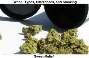 types of weed to smoke