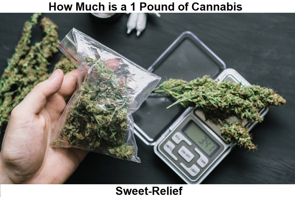 1 pound of cannabis